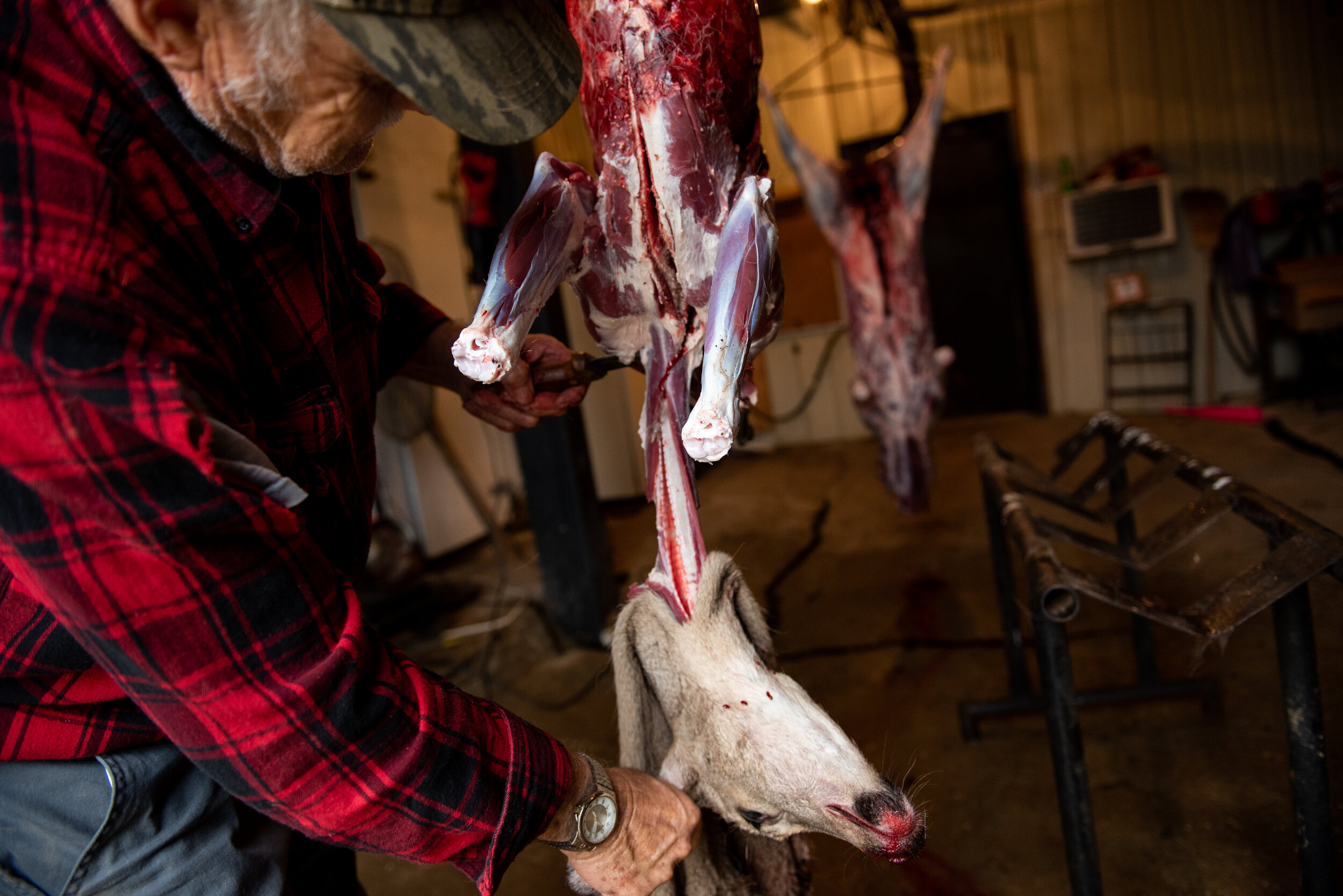   Wayne Northcutt, resident of Cynthiana, Ky., skins a deer in his garage on Oct. 29, 2021.   