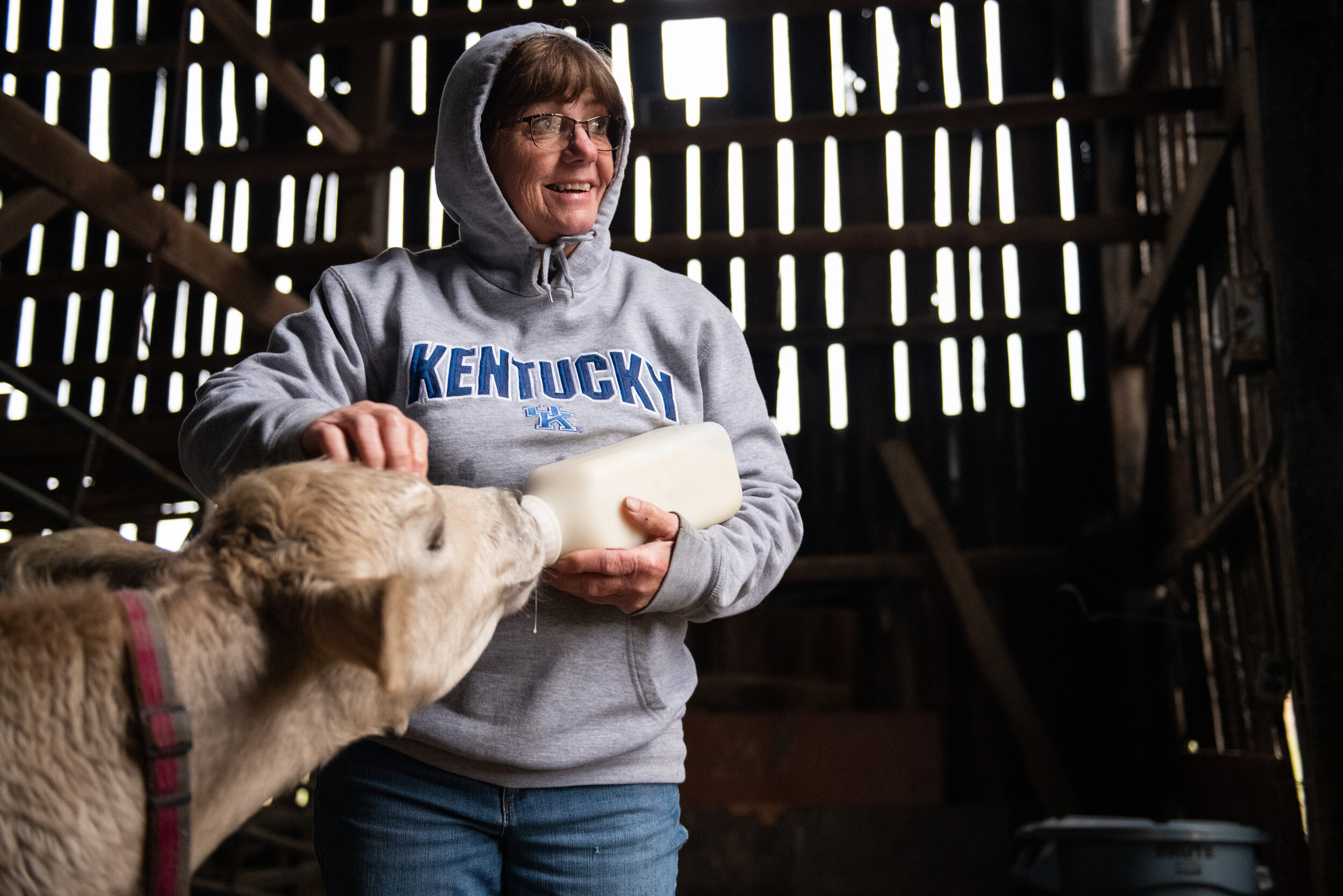   Judy Northcutt, a resident of Cynthiana, Ky., bottle feeds her calf, Junebug, at her family's barn in Cynthiana on October 31, 2019.  