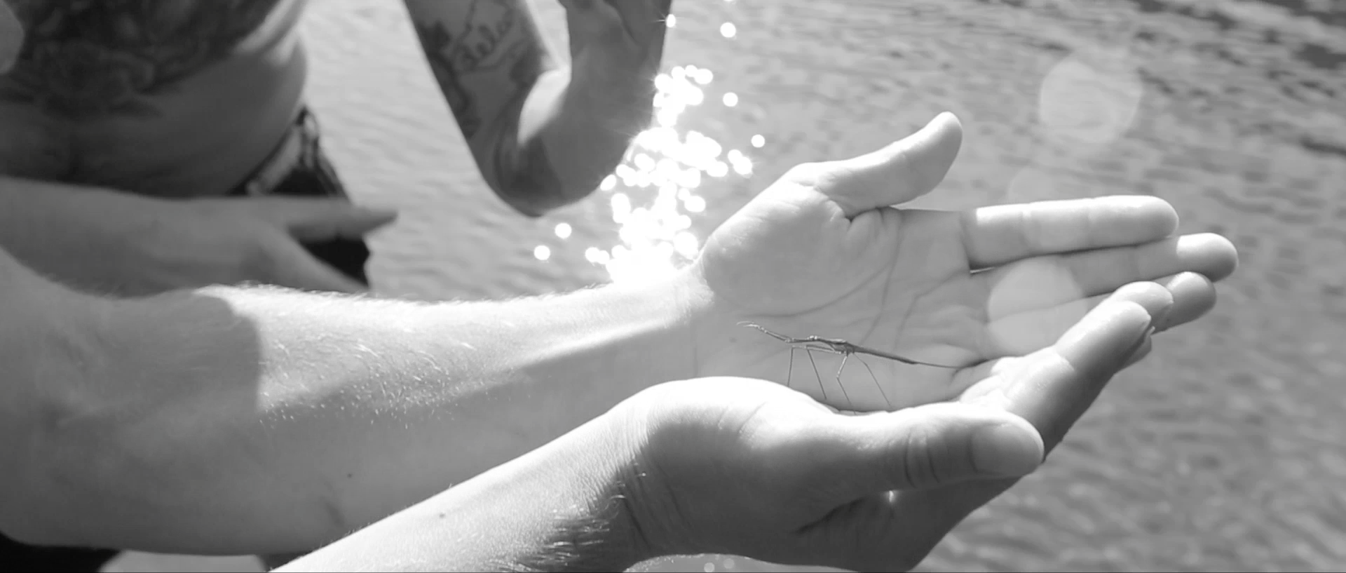 Screen Shot 2018-04-15 at 9.54.58 PM.png