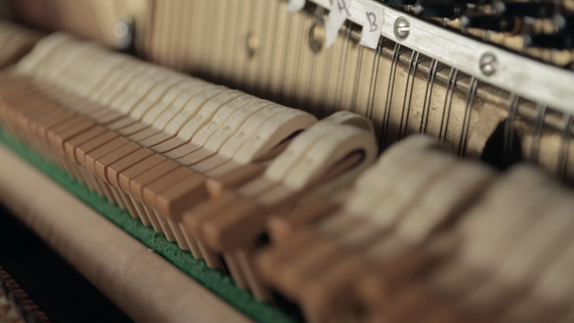 Screen Shot 2018-04-16 at 12.37.02 AM.png