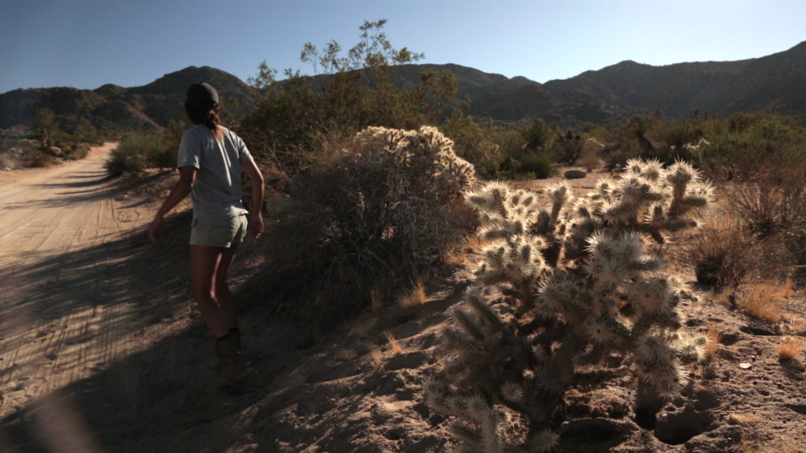 Untitled Short Film, 2023