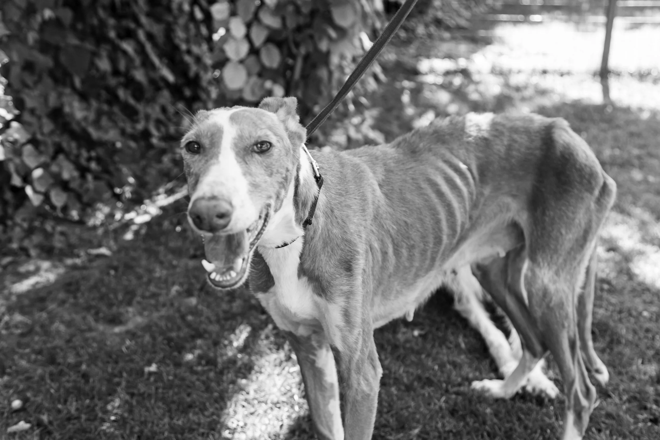 MM Website Stock 3.jpeg