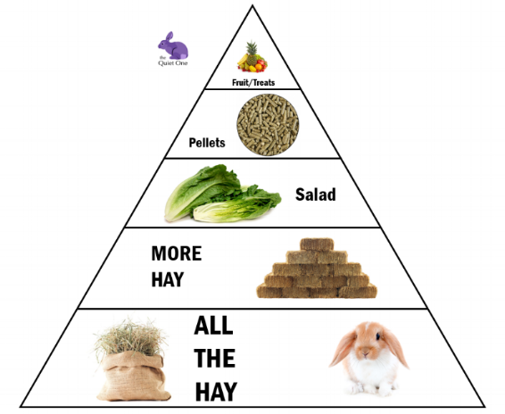 rabbit food triangle.png