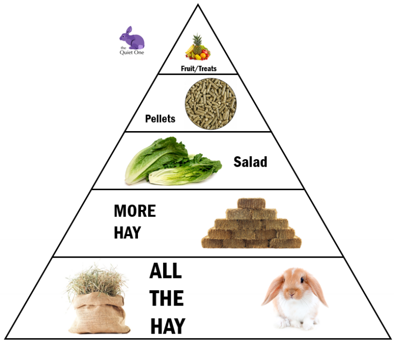 food image.png