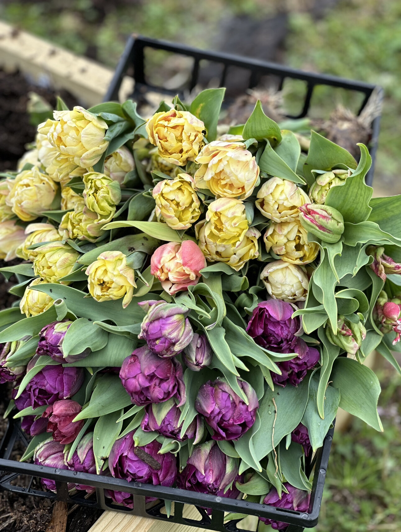 E386FEF7-A2D1-449E-8C85-48A823CDBC40