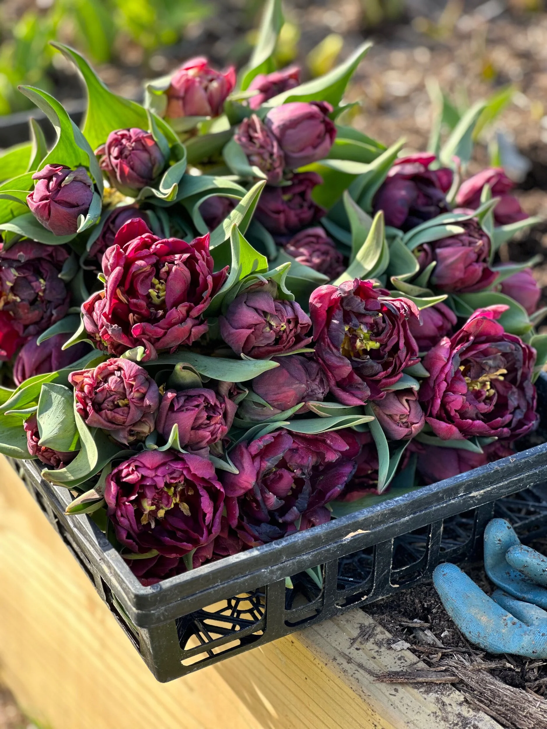 5B48D2F8-1B24-49AF-A61A-513FACEF0069