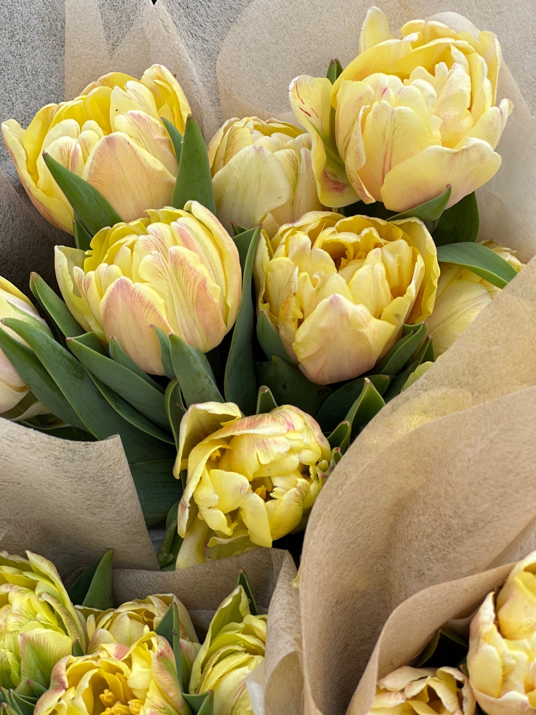 0B4313EA-6688-4397-8D49-BF1E7A4B0518