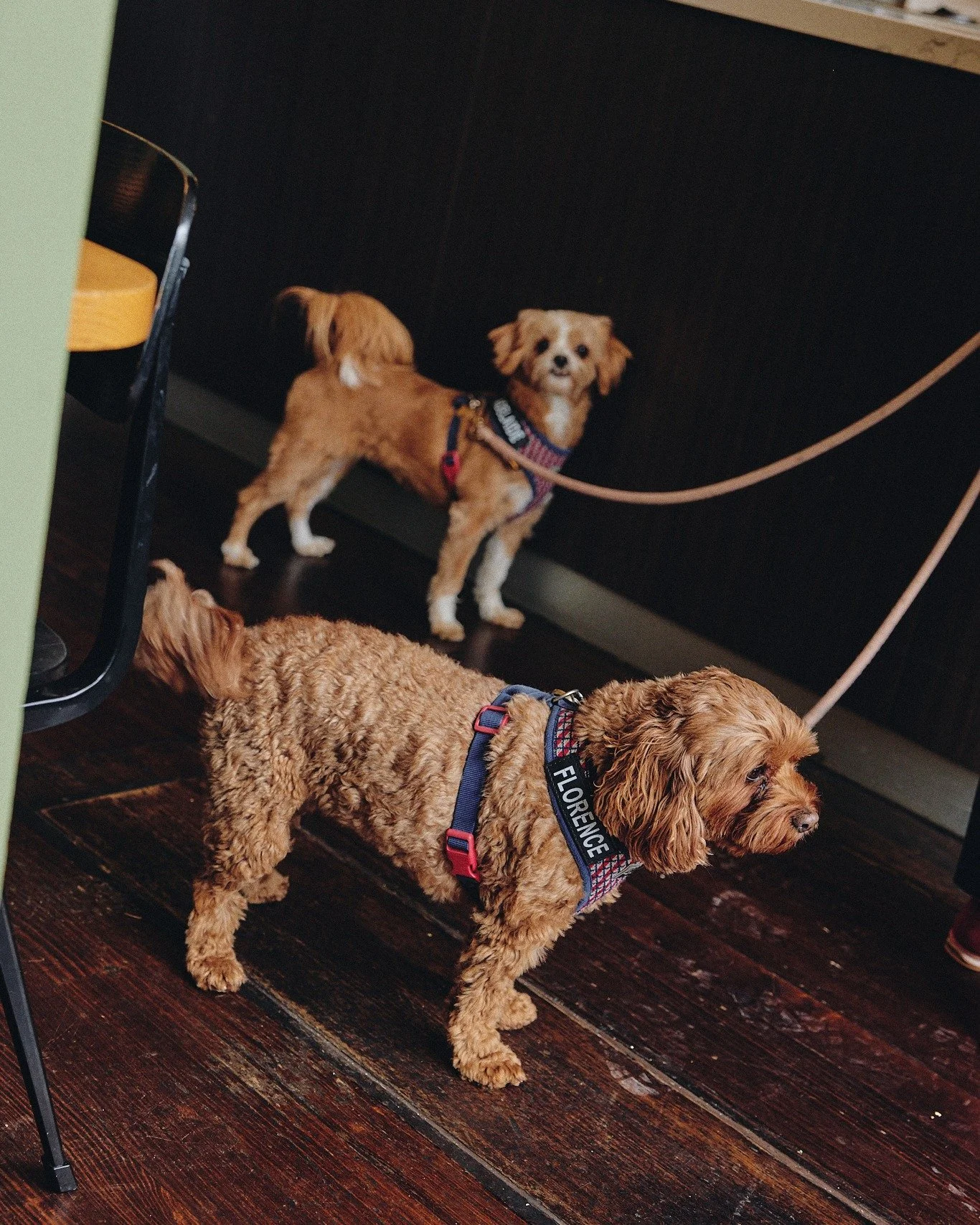 Coffee made just how you like it, heaters on, a menu full of your favourites and a team that greets you by name. That's Bruno &amp; Co 😌

See you this week?