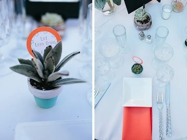 Gorgeous wedding favor idea -- succulents!