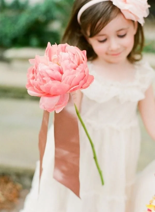 Photo by KT Merry Photography