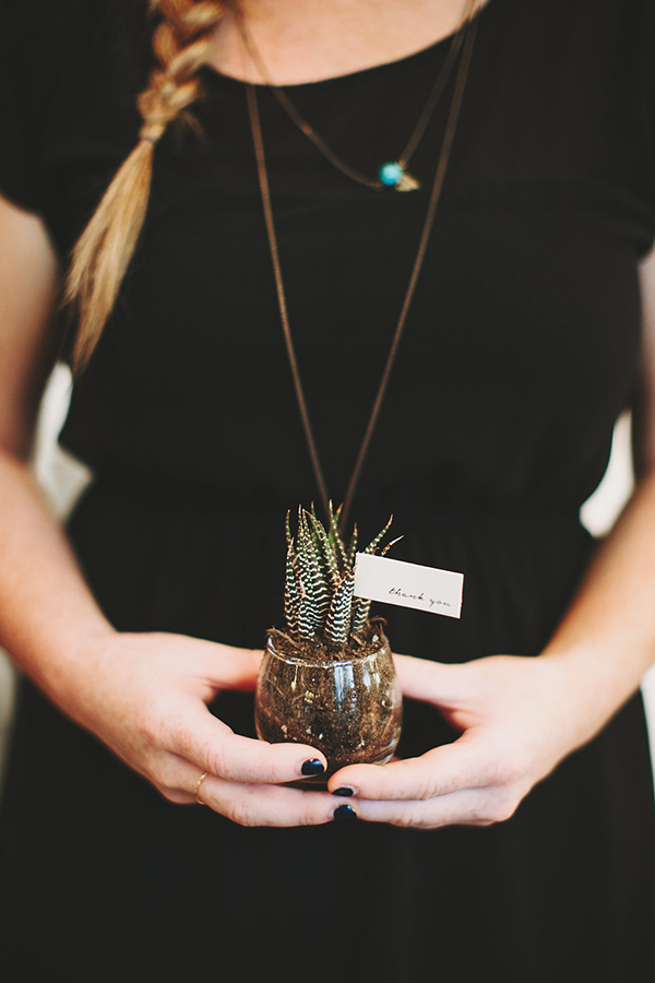 Sweet succulent wedding guest favors