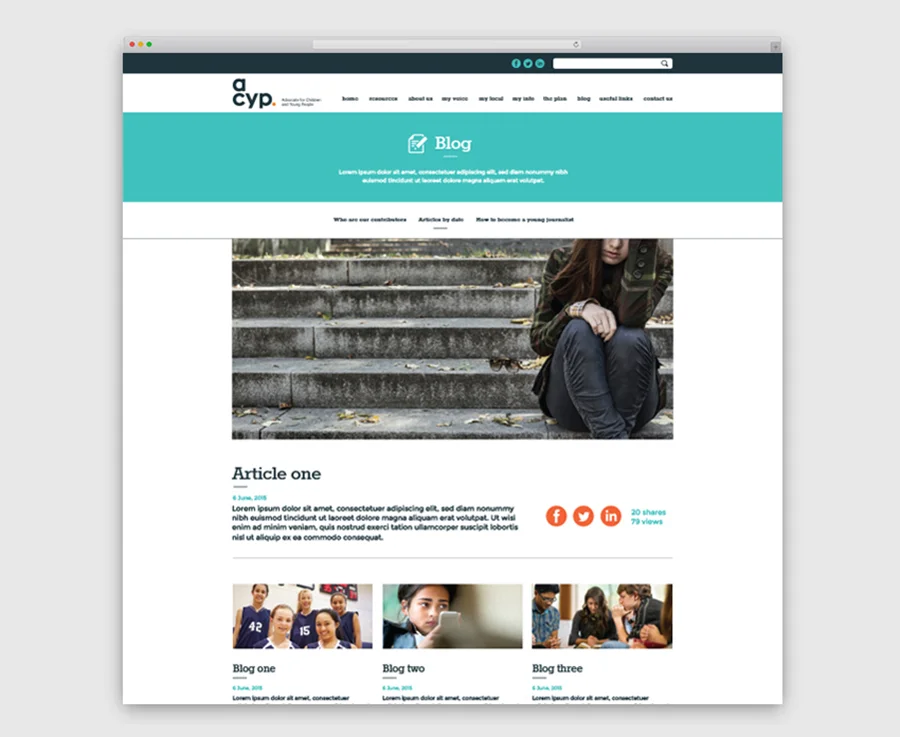 ACYP blog.jpg