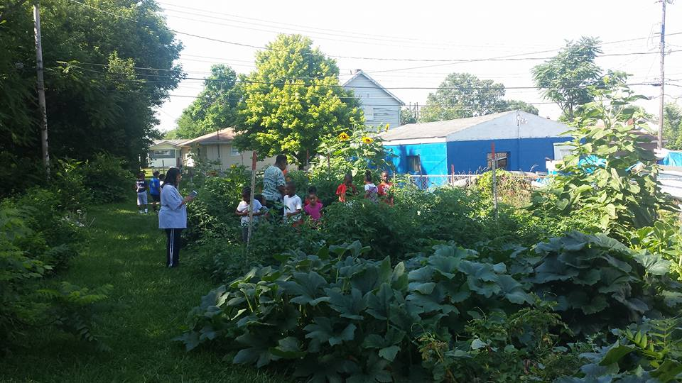Community Farm 3.png
