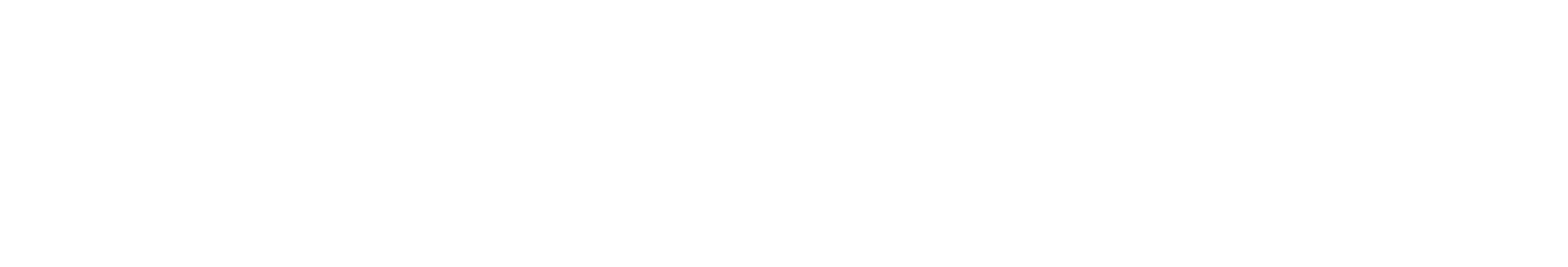 Widewail_BMW_WW-Logo.png