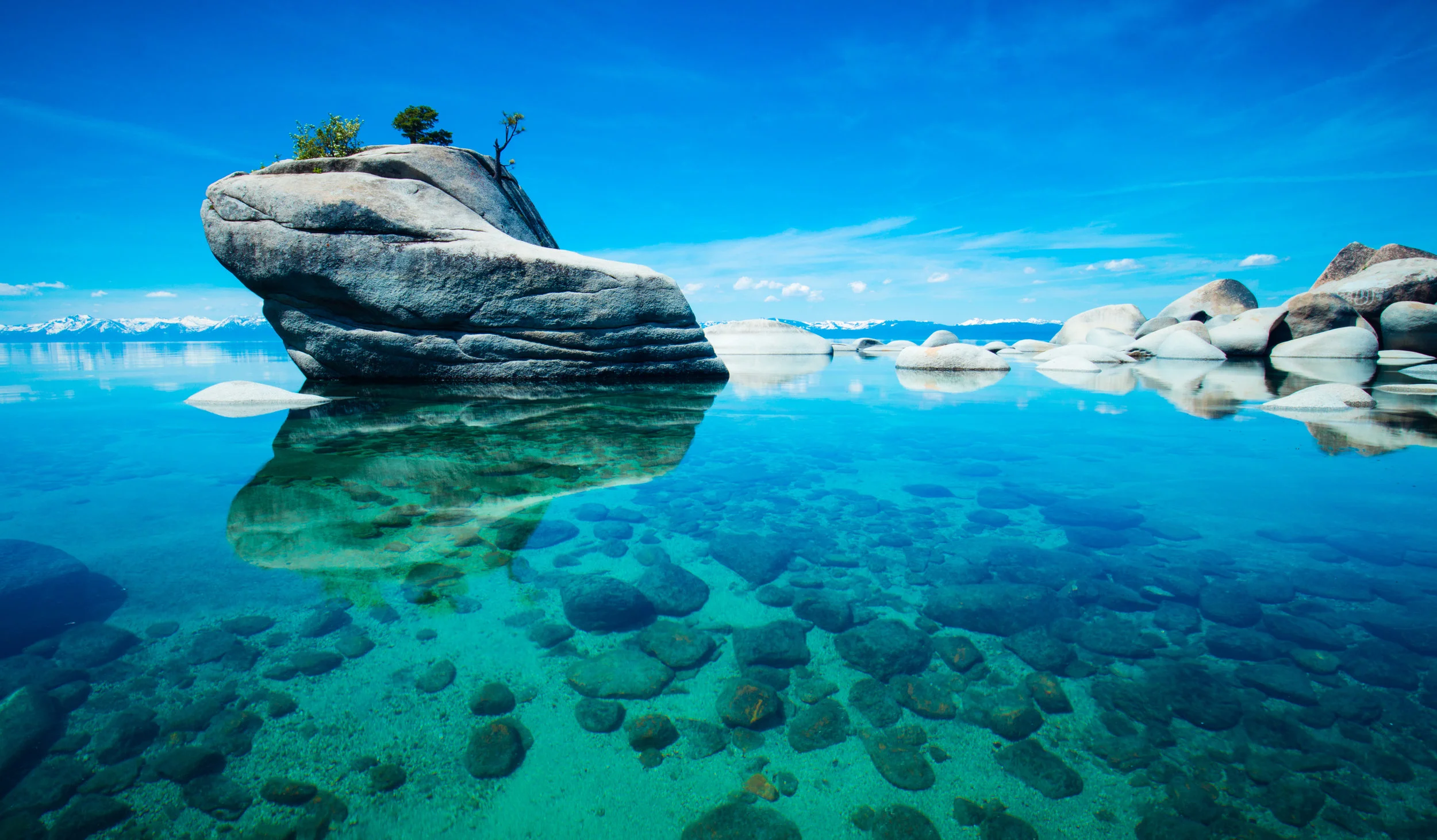 iStock-541294586_sm.jpg