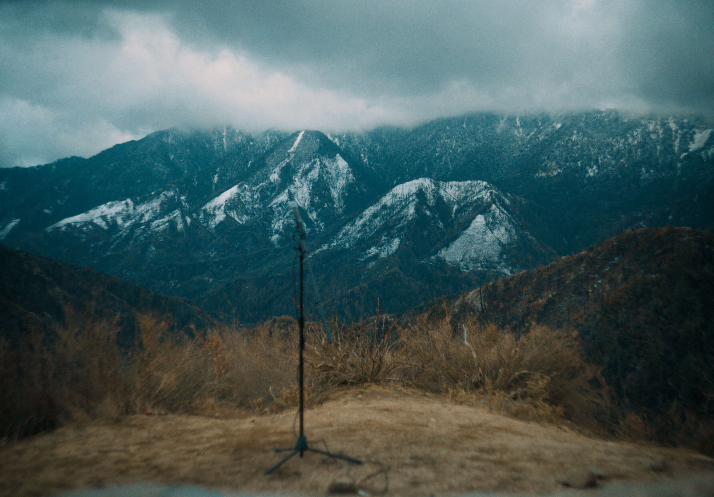 DG Still_4.1.19.jpeg