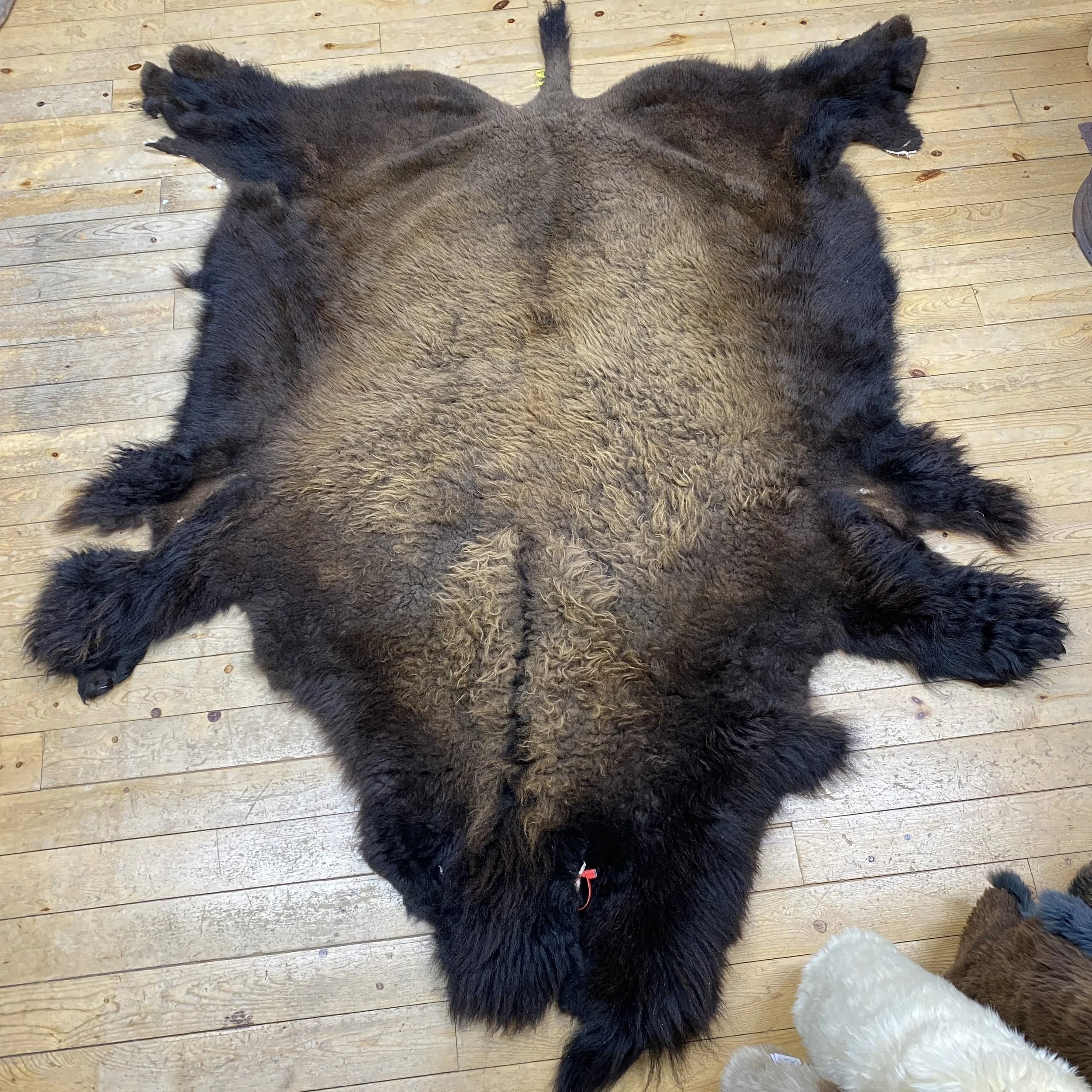 bison hide