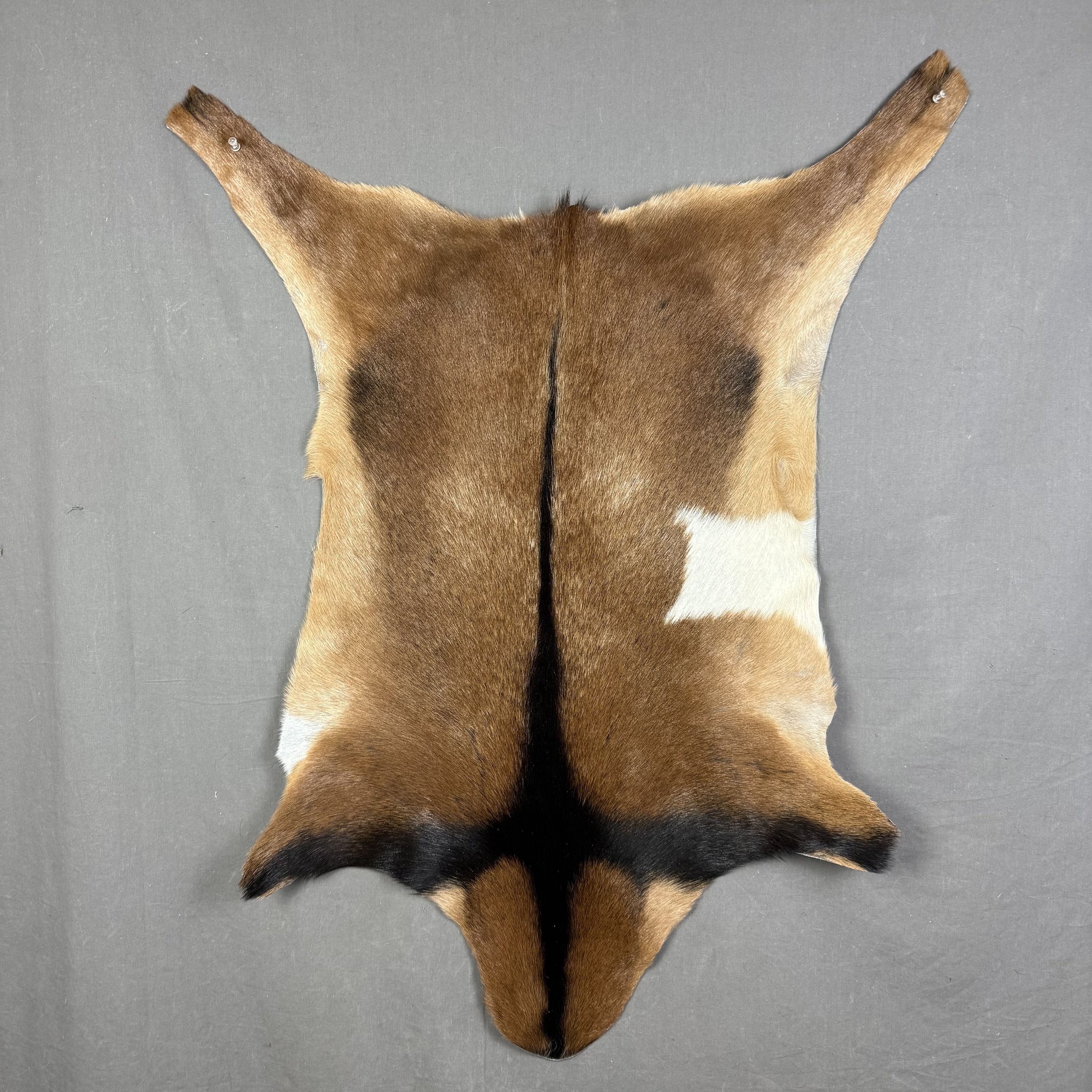 Goat Hide SQ1401