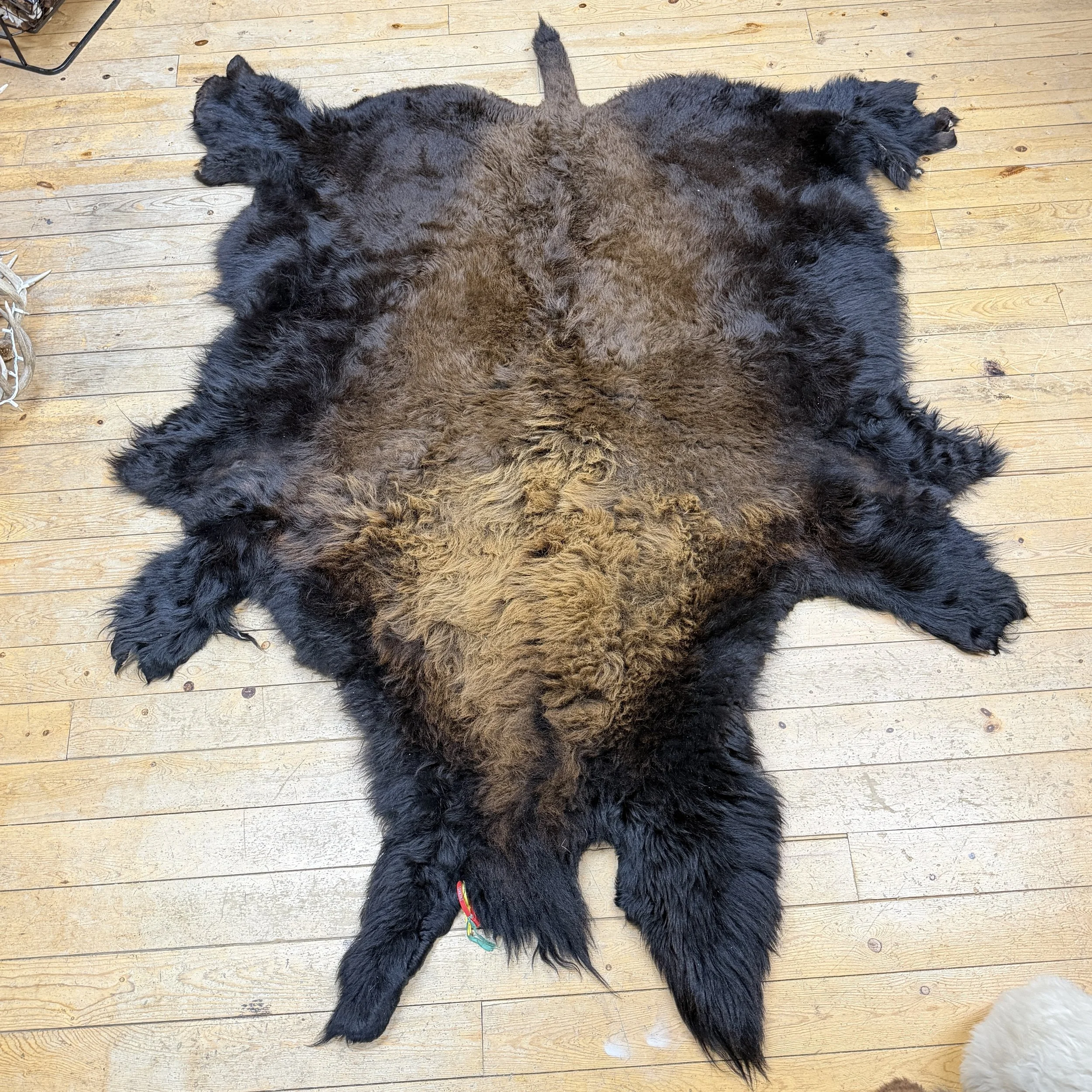 Buffalo Hide #13