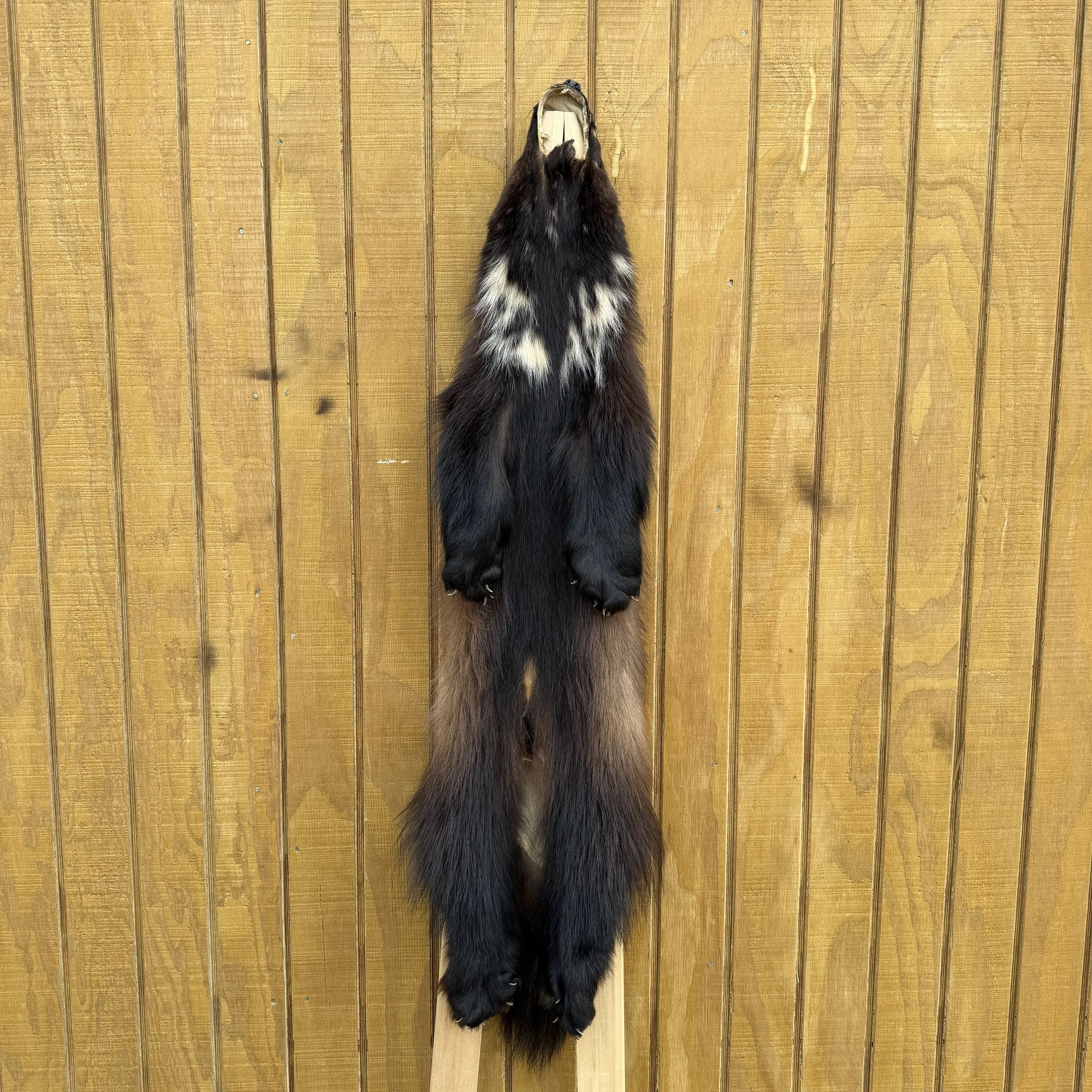 Wolverine pelt