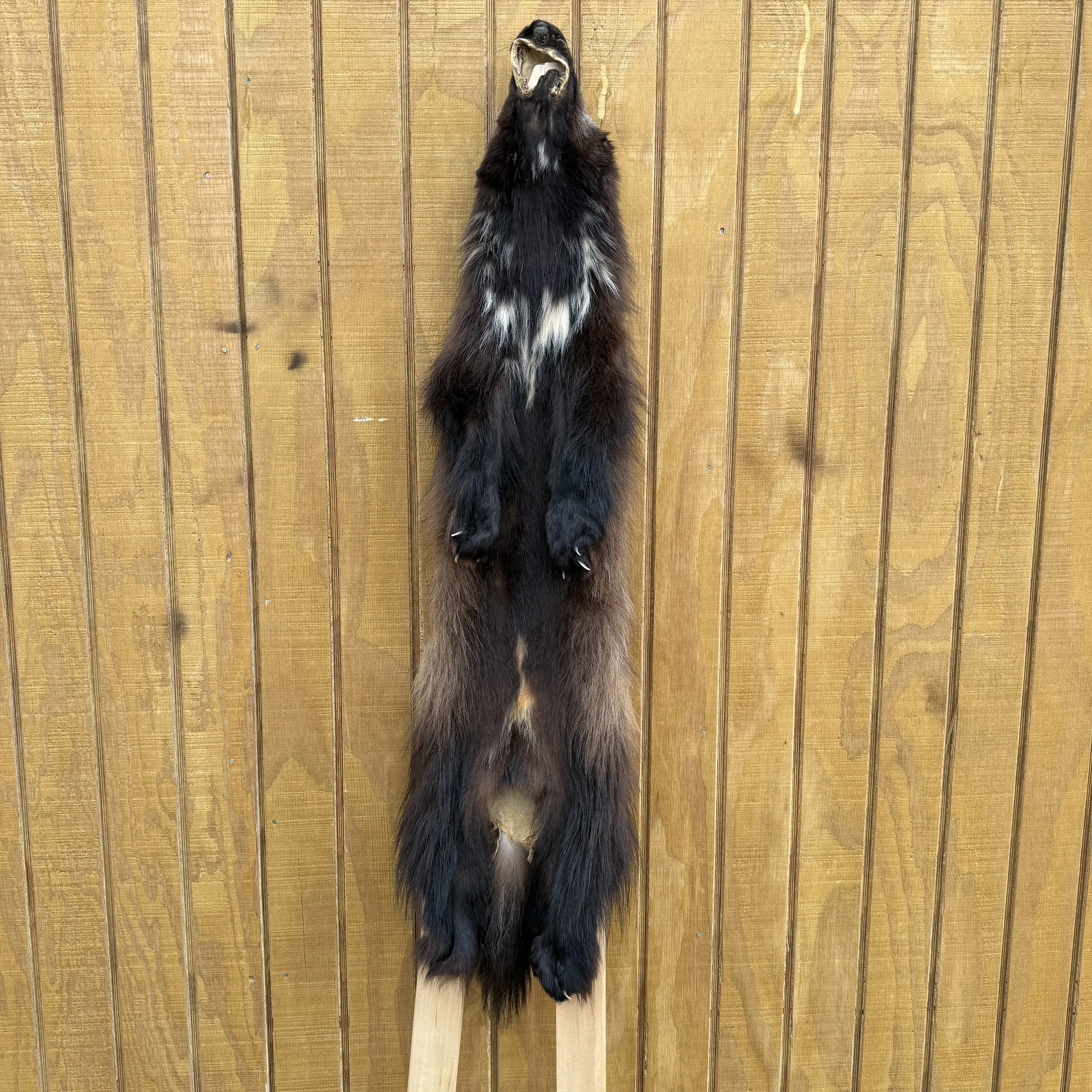 Wolverine pelt