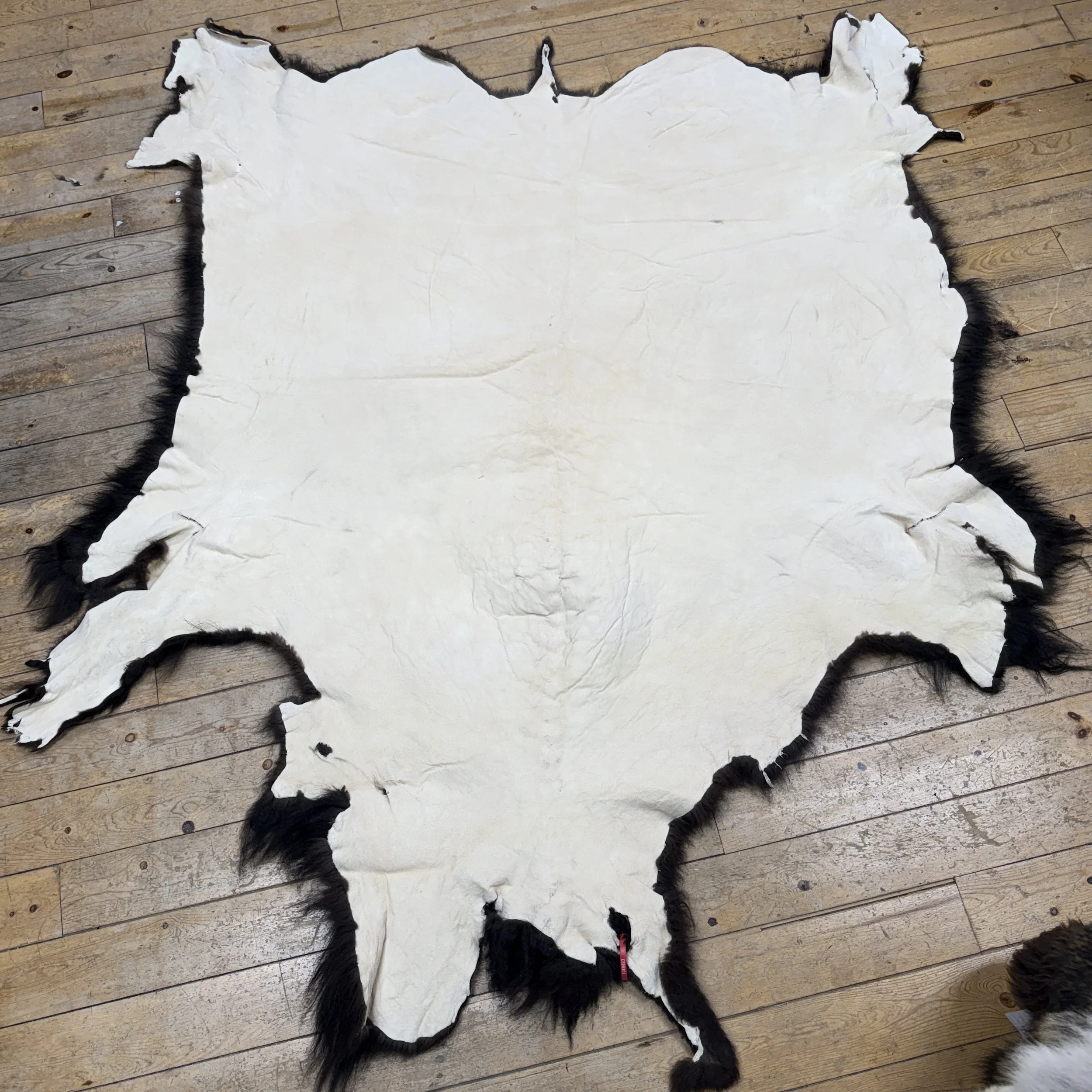 Bison hide