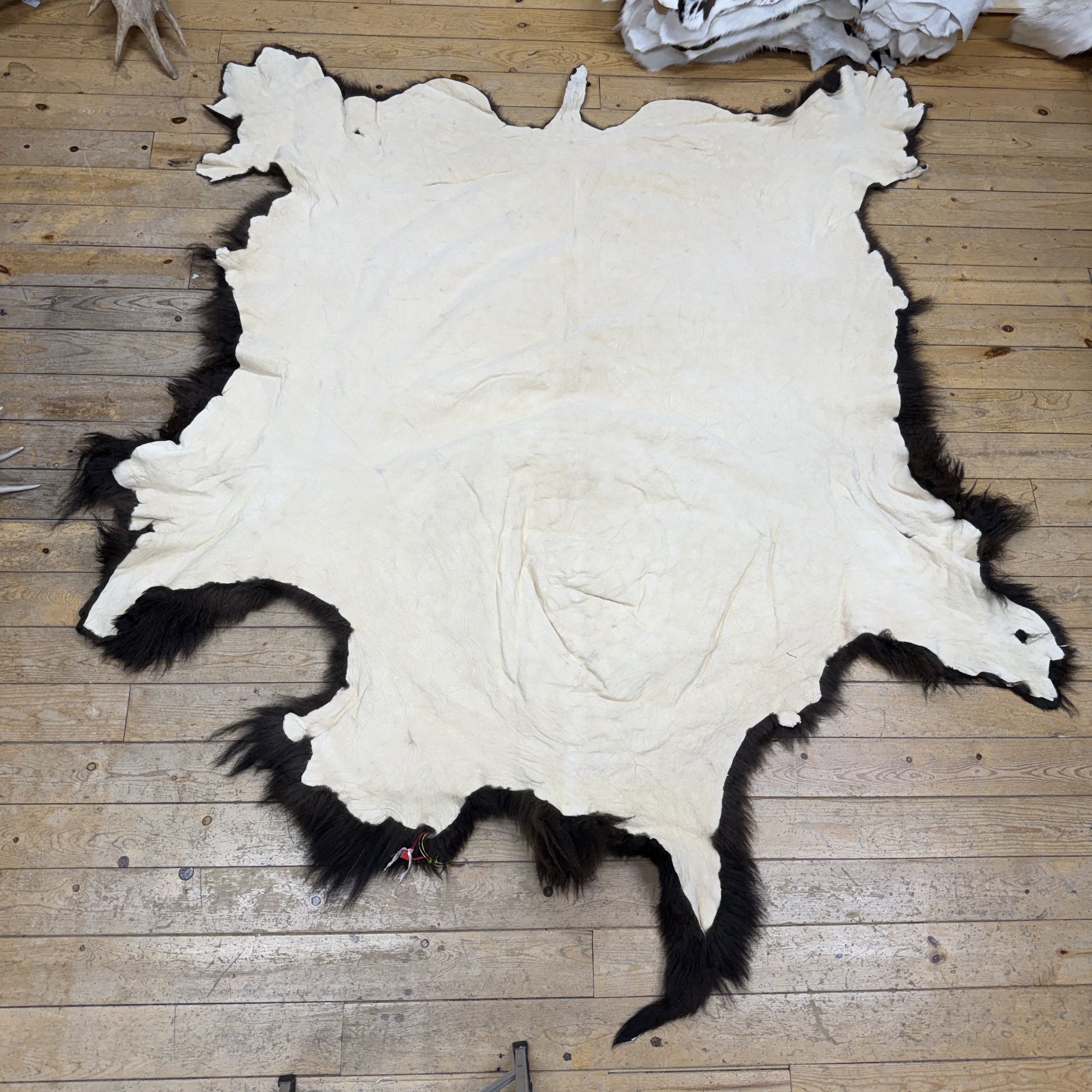 Buffalo Hide