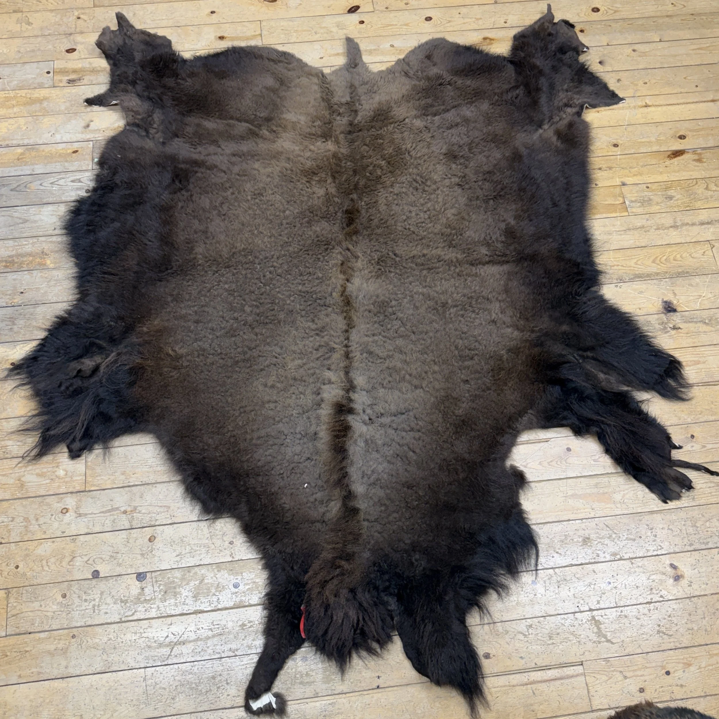 bison hide