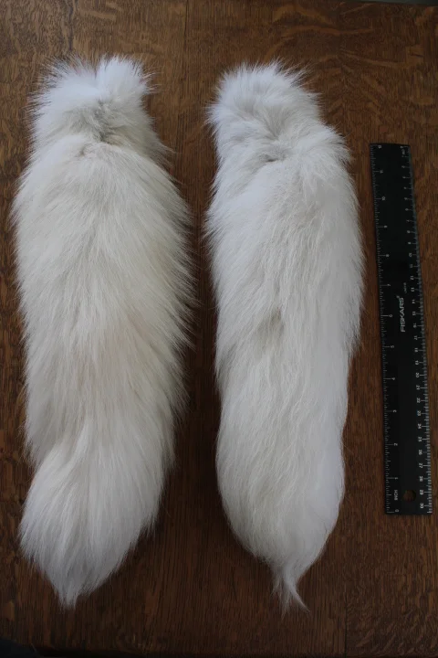 Arctic Fox Tail