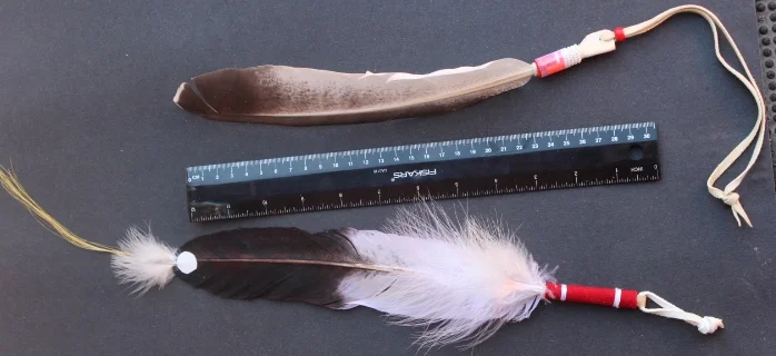 Legal Eagle Feathers (decorated) Turkey.JPG