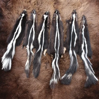 skunk hide