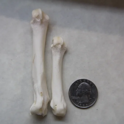 IMG_3404.JPG?format=1000w