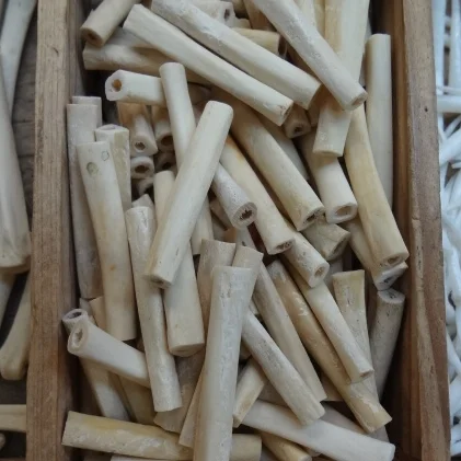 coyote foot bone beads