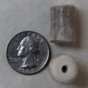 Deer antler beads