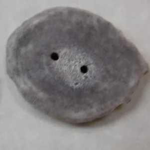 Deer antler buttons