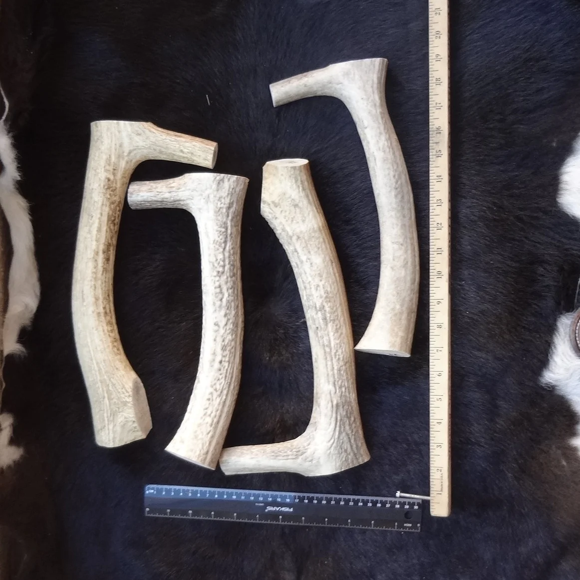 elk antler scraper handle