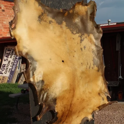 elk rawhide