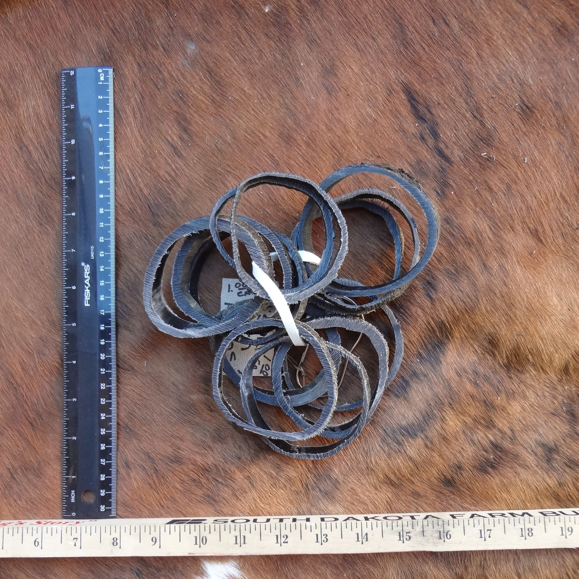 buffalo horn rings