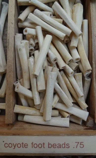 Coyote Foot Bone Bead