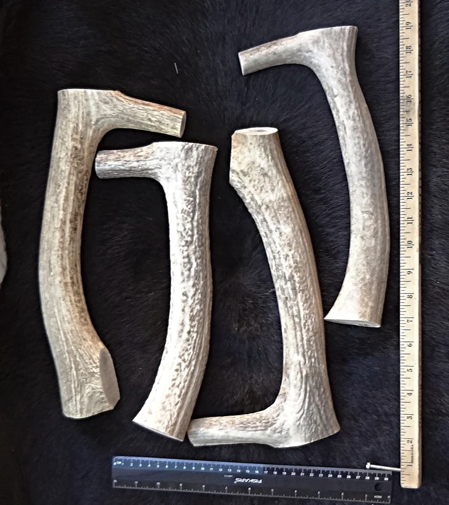 Elk Antler Scraper Handles
