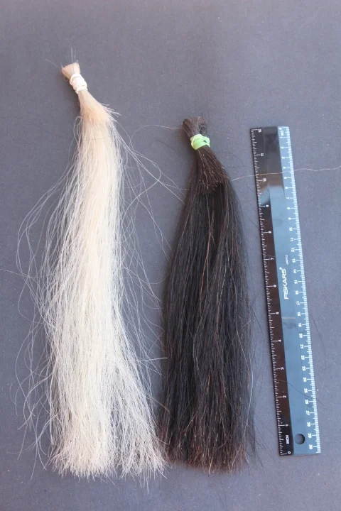 Horse Hair Bundle