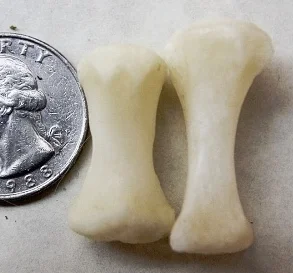 Black Bear Foot bone