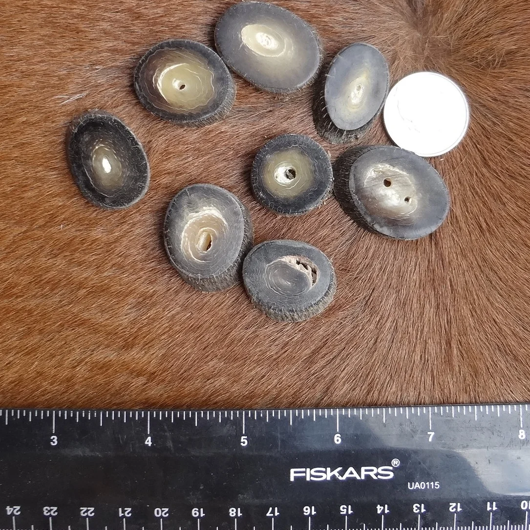 Antelope Horn Button