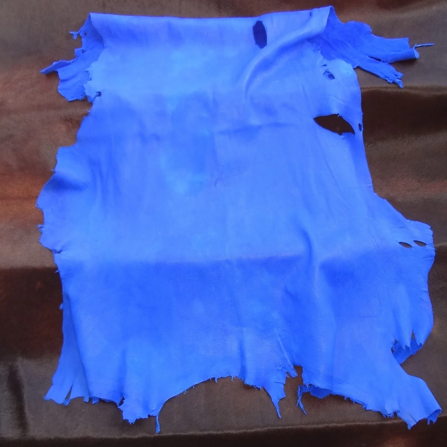 deer leather blue