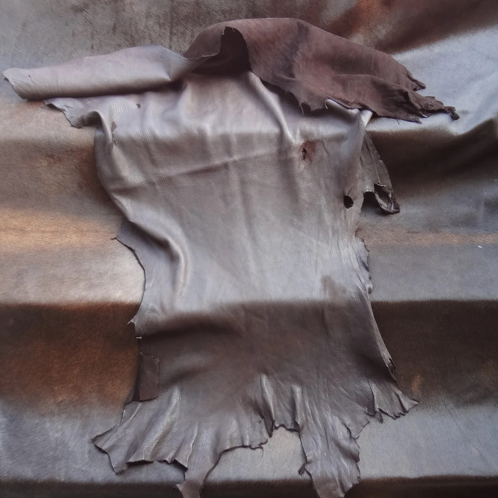 Deer Leather Dark Chocolate