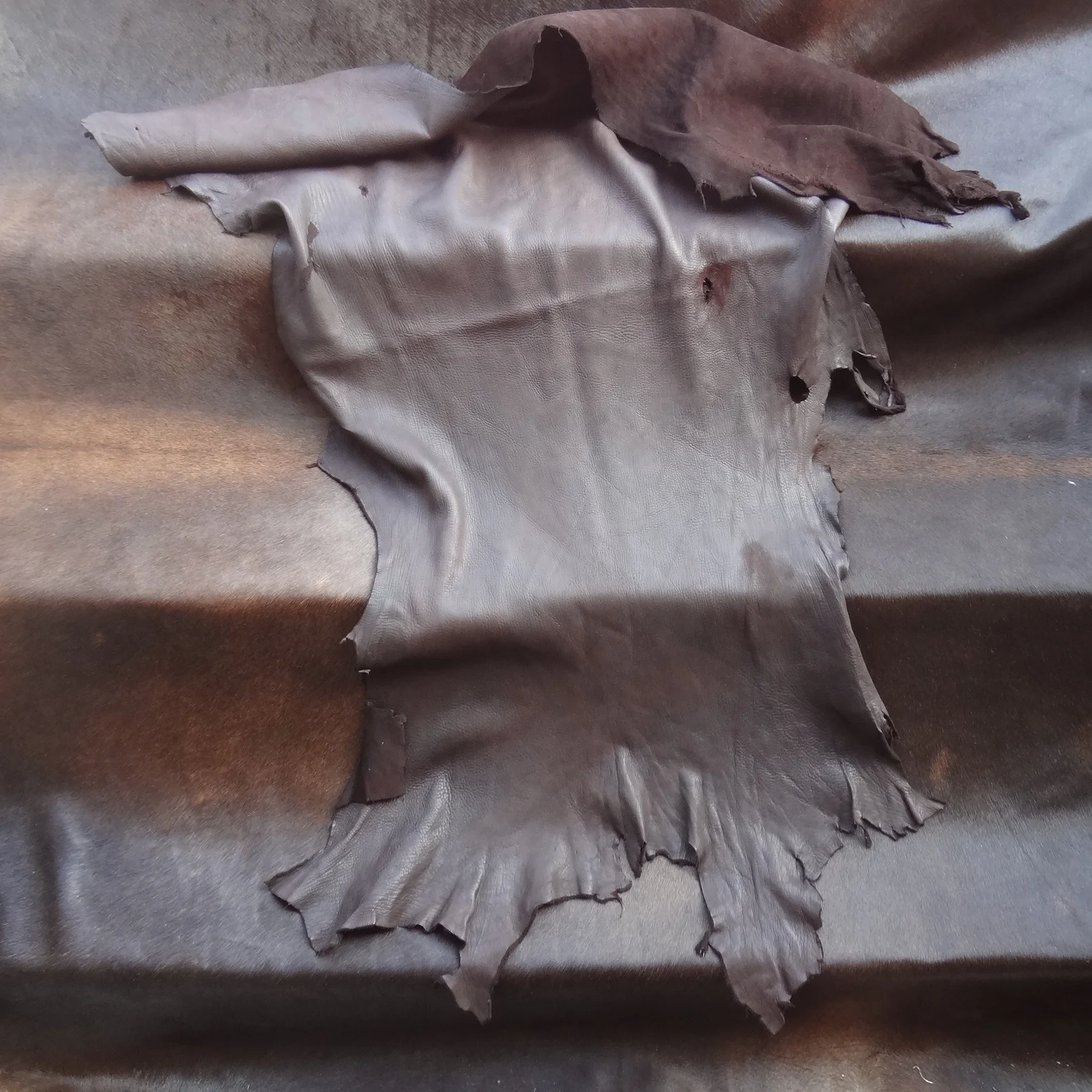 deer leather dark chocolate
