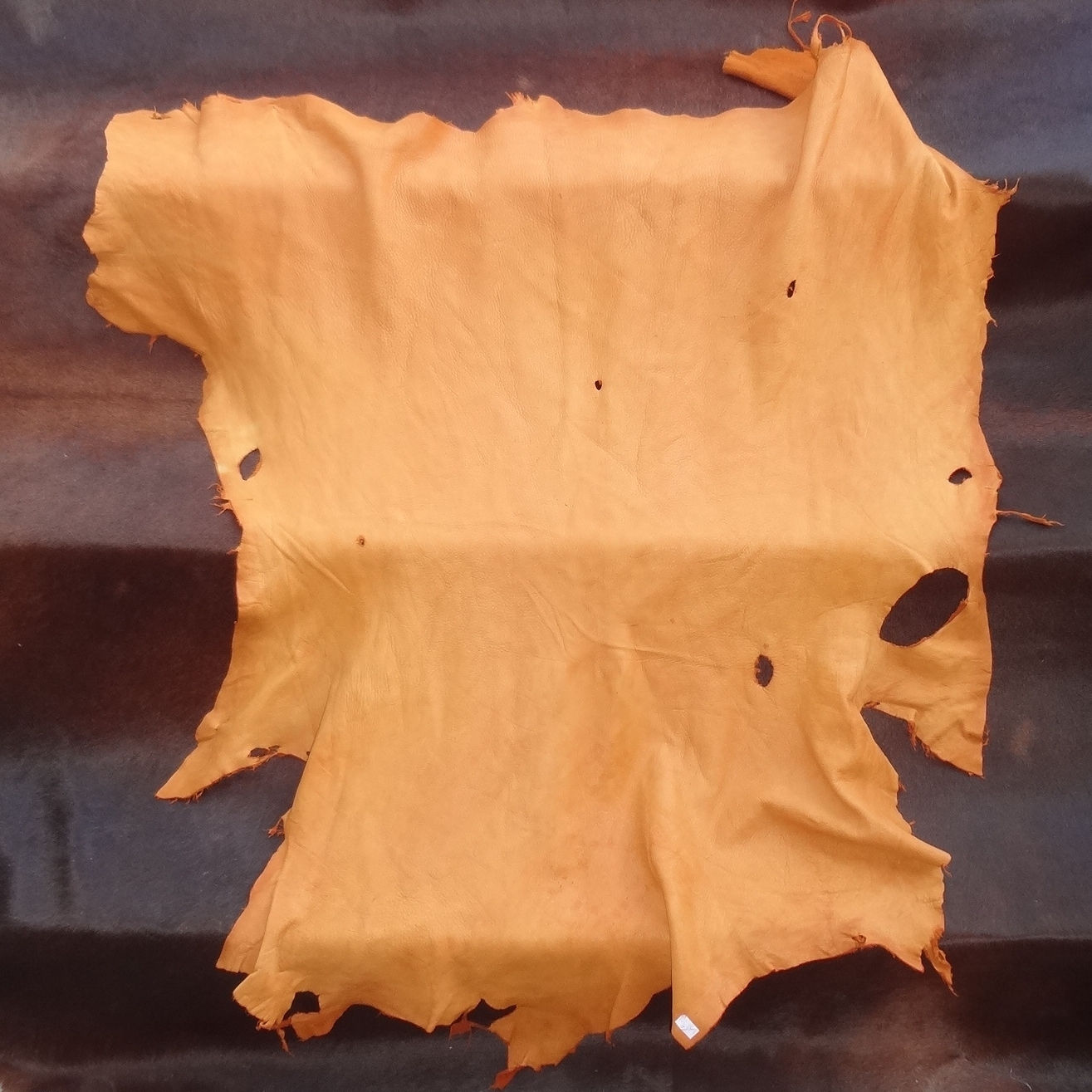 deer leather buckskin