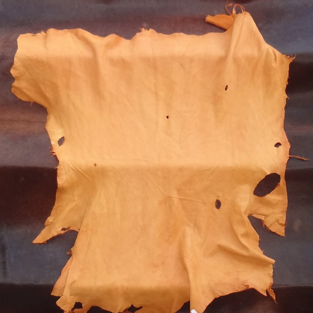 Deer Leather (Saddle)