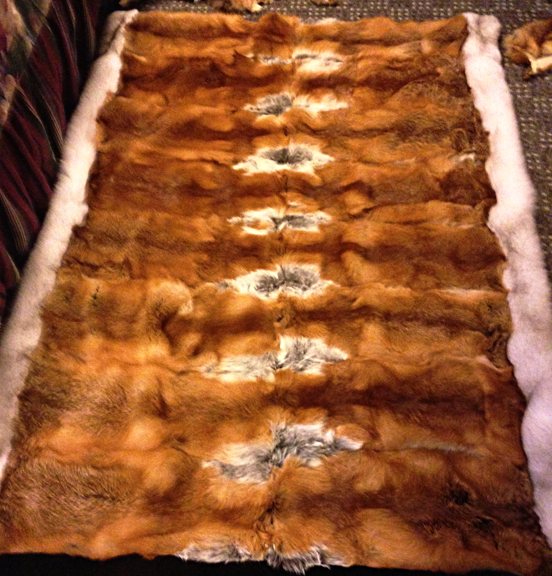 Red Fox throw with blue fox trim 