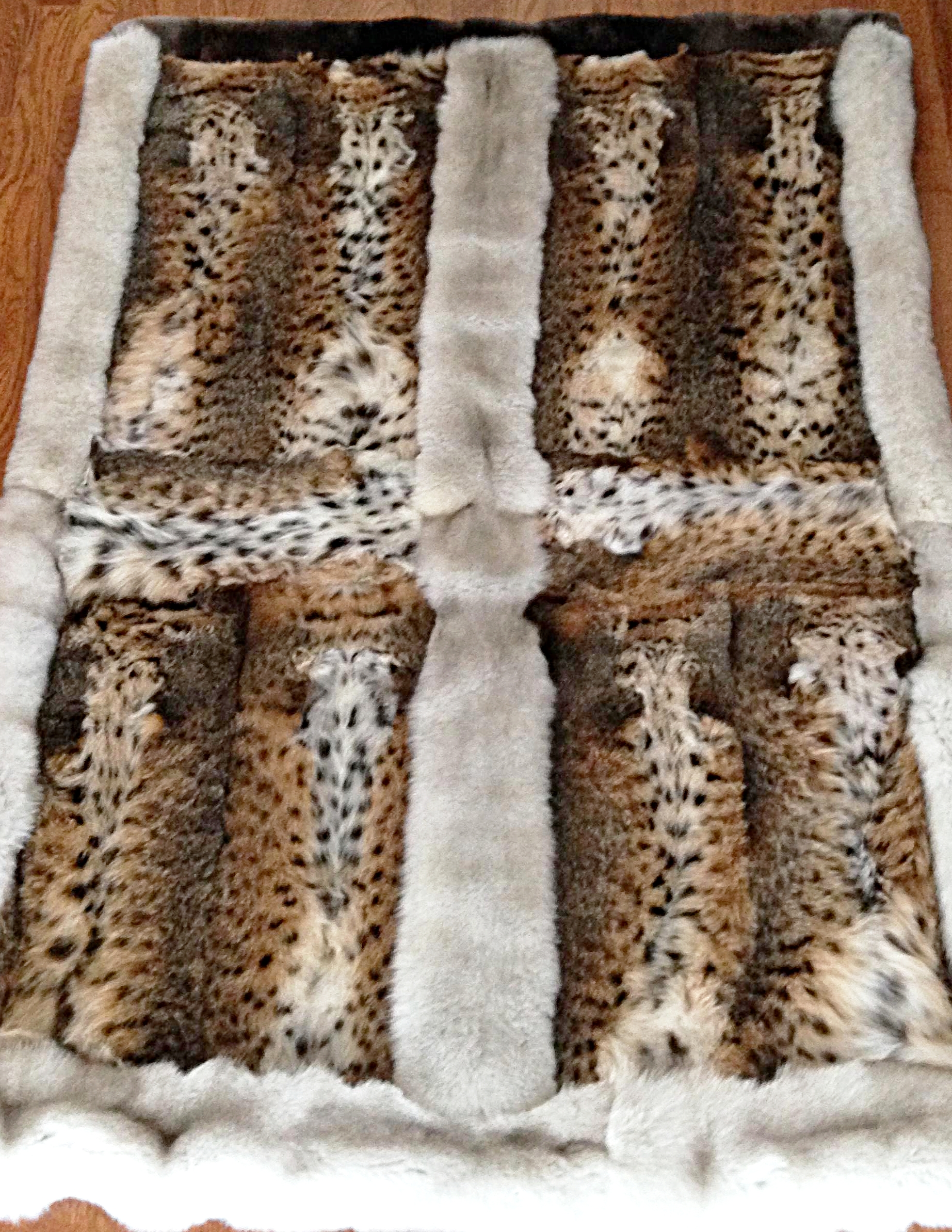 bobcat blue 2450.JPG